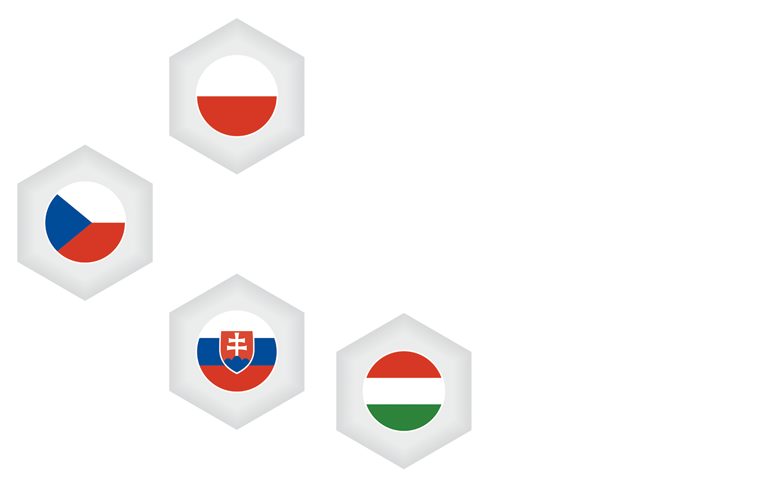 V4 Biochar platform
